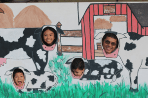 My Family Outing that Turned into Our Annual Tradition tradition