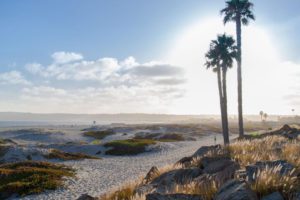 Coronado-Beach-TripAdvisor-1 Photo from Trip Advisor