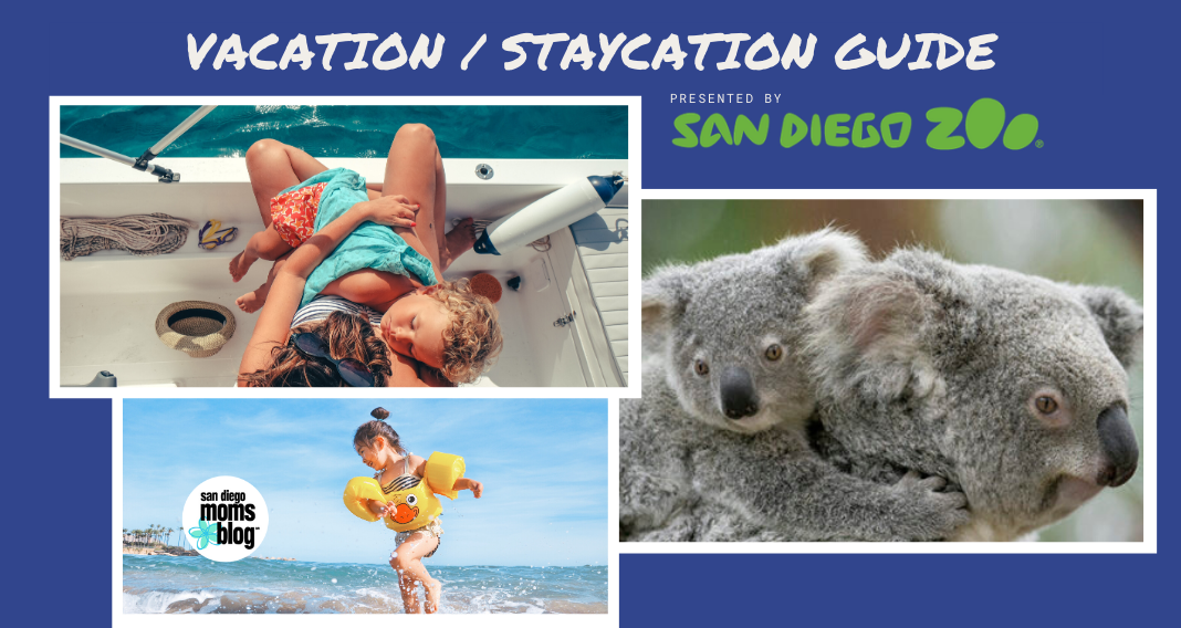 Vacation new featured vacation