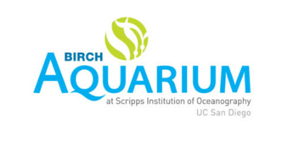 birch 400 - Copy aquarium