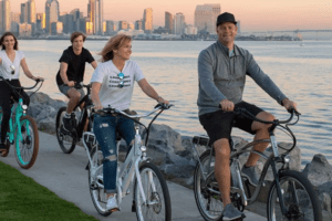 pedego pedego
