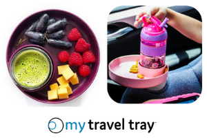 travel tray travel tray